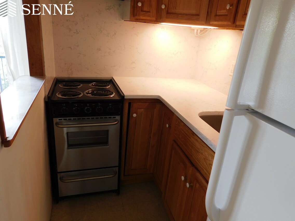 1 bed, 1 bath apartment for rent at 9 Chauncy St Unit 33, Harvard Square — photo 9 of 10