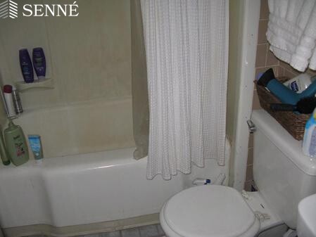 2 bed, 1 bath apartment for rent at 50 Dover St Unit 2, Davis Square — photo 6 of 9