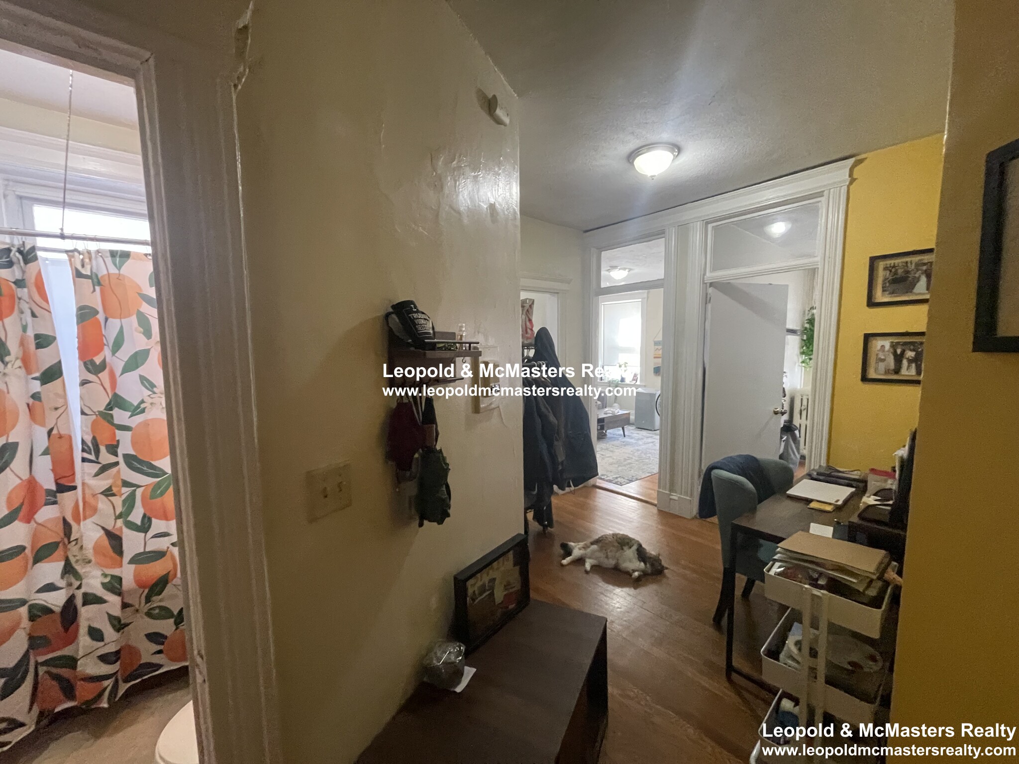 1 bed, 1 bath apartment for rent at 91 Gordon St Unit 9, Brighton — photo 13 of 13