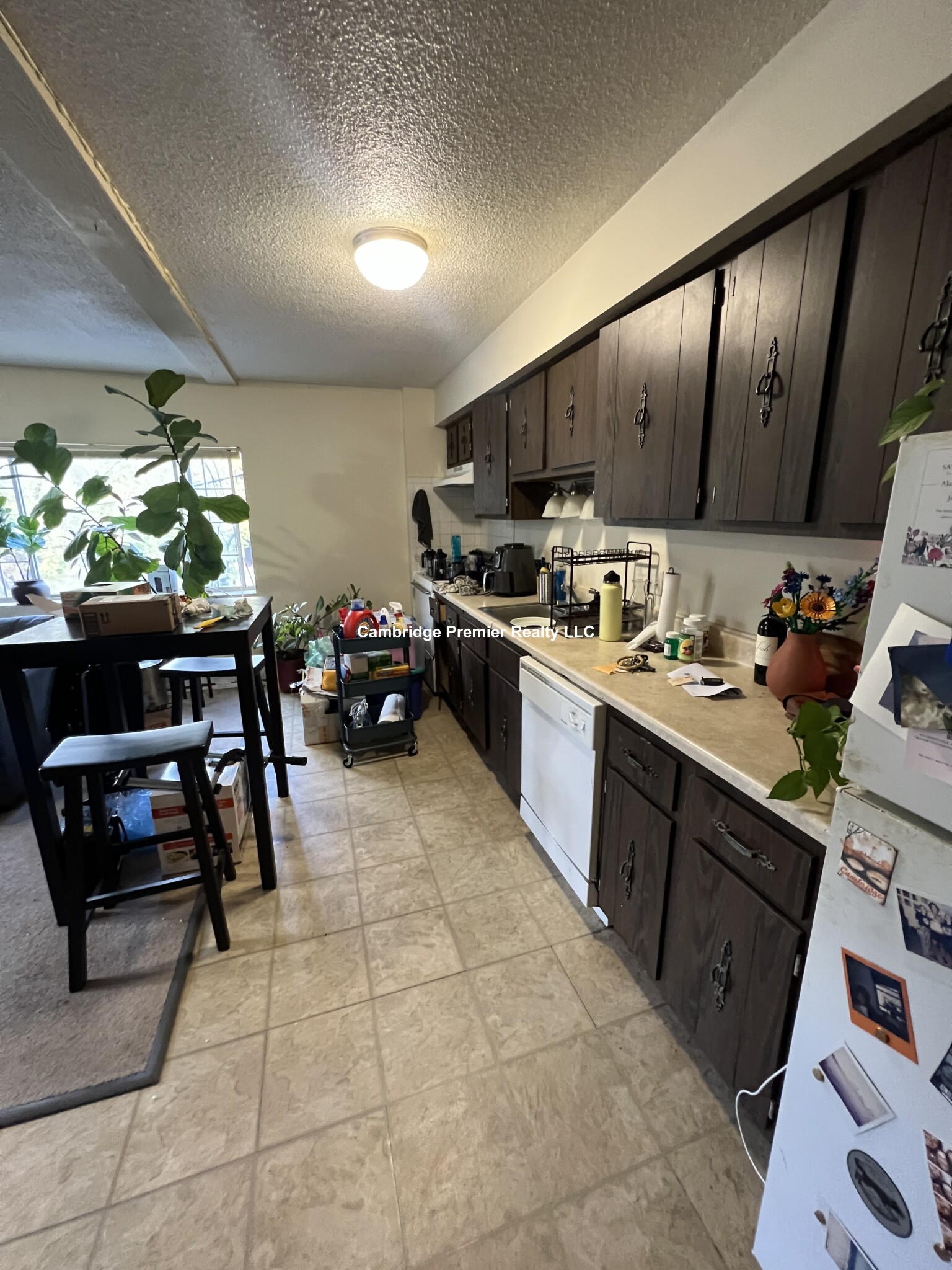 45 Elm St, Spring Hill