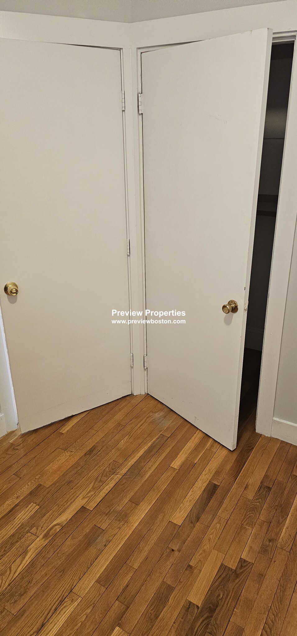 31 Orkney Rd, Brighton