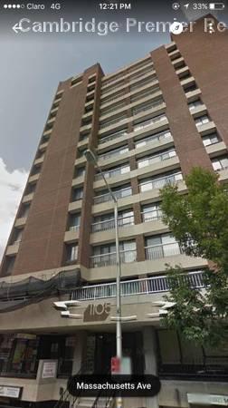 1 bed, 1 bath apartment for rent at 1105 Massachusetts Ave Unit 11D, Harvard Square — photo 8 of 10