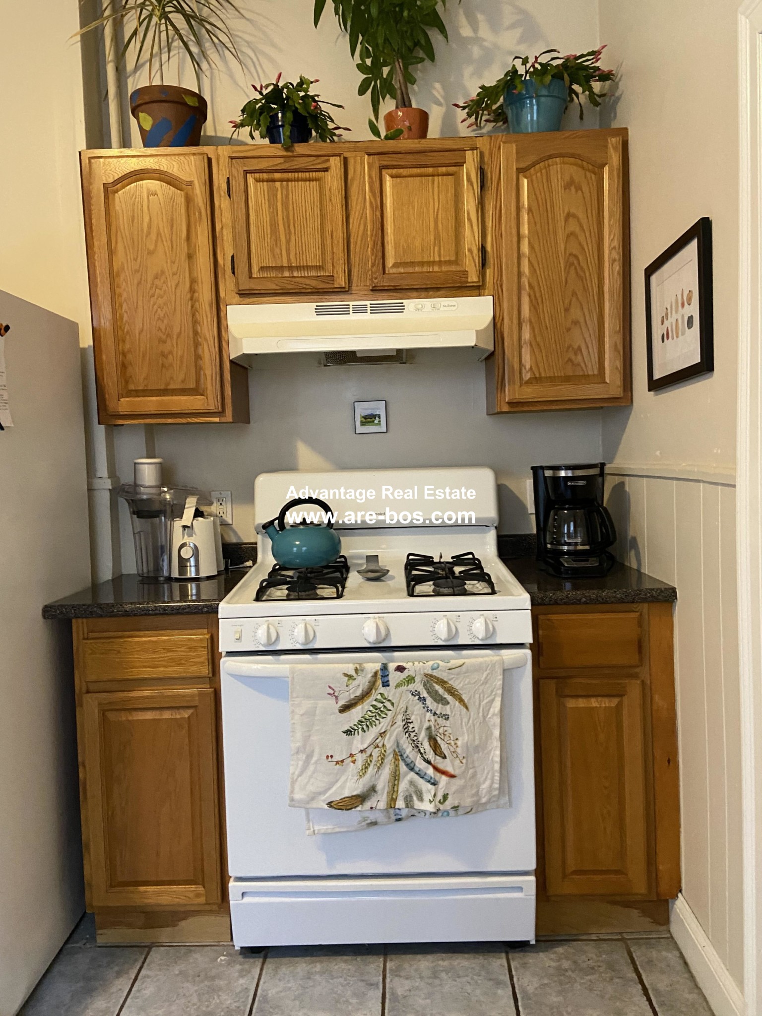1 bed, 1 bath apartment for rent at 47 Union St Unit 10, Mid Cambridge — photo 4 of 15