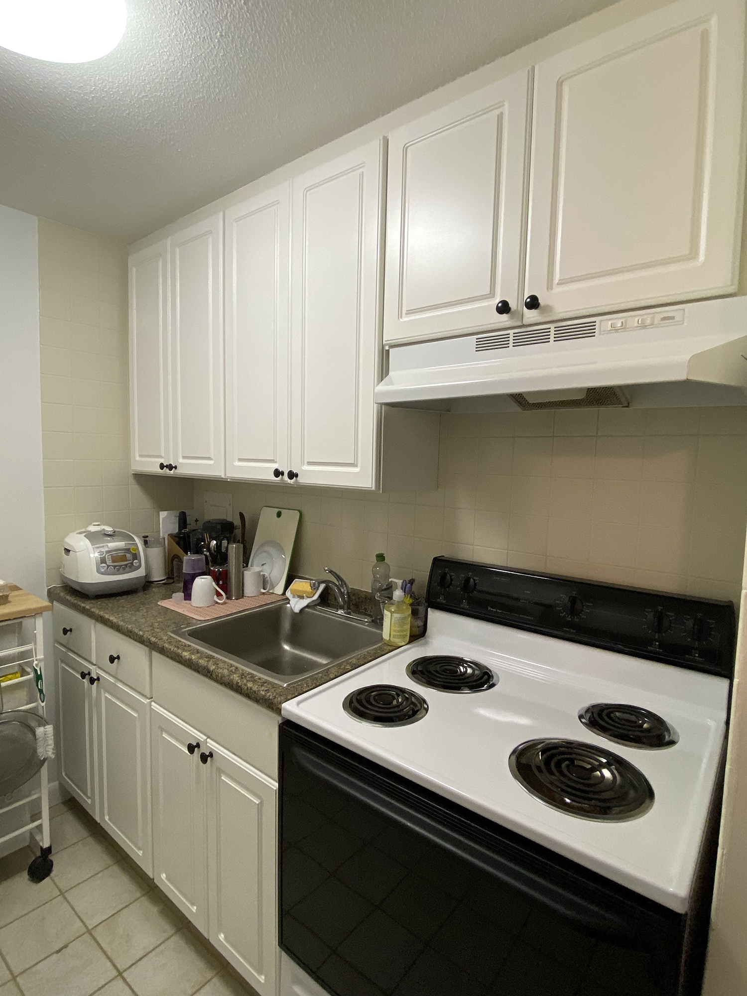 Studio bed, 1 bath apartment for rent at 15 Francis St Unit 22, Longwood — photo 10 of 11