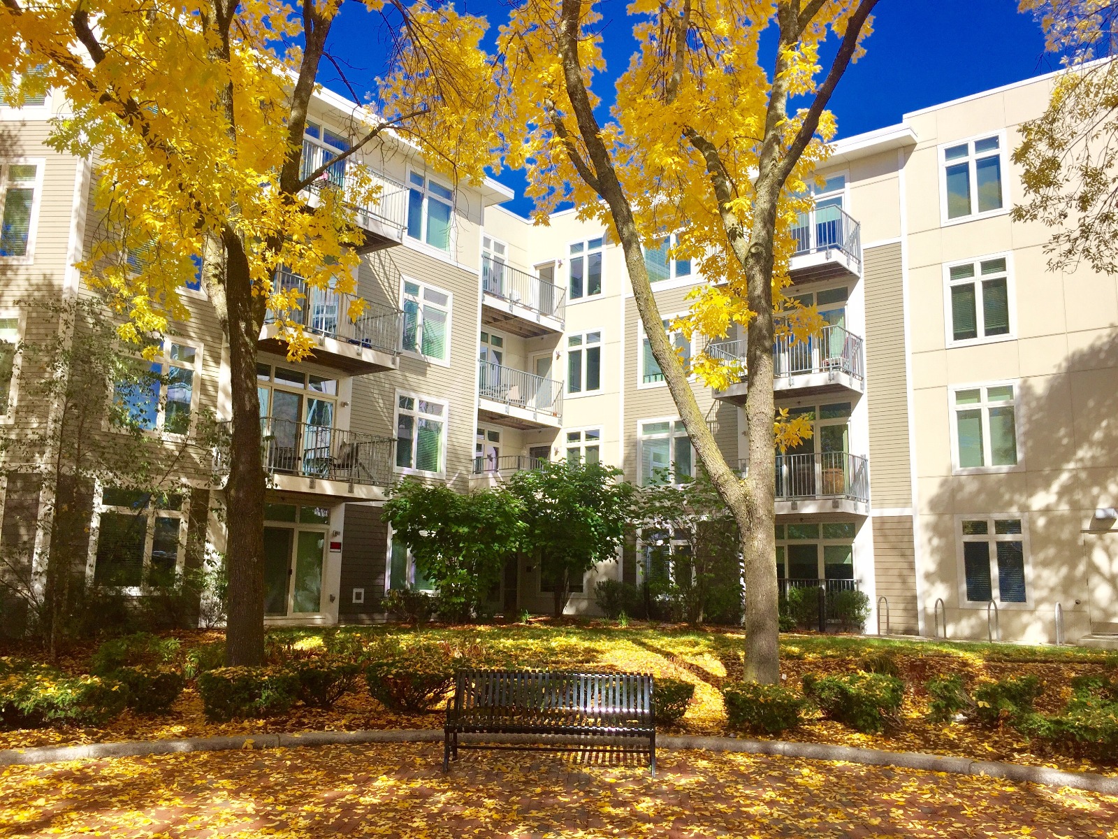 2 bed, 2 bath apartment for rent at 7 Cameron Ave Unit 3, North Cambridge — photo 10 of 22