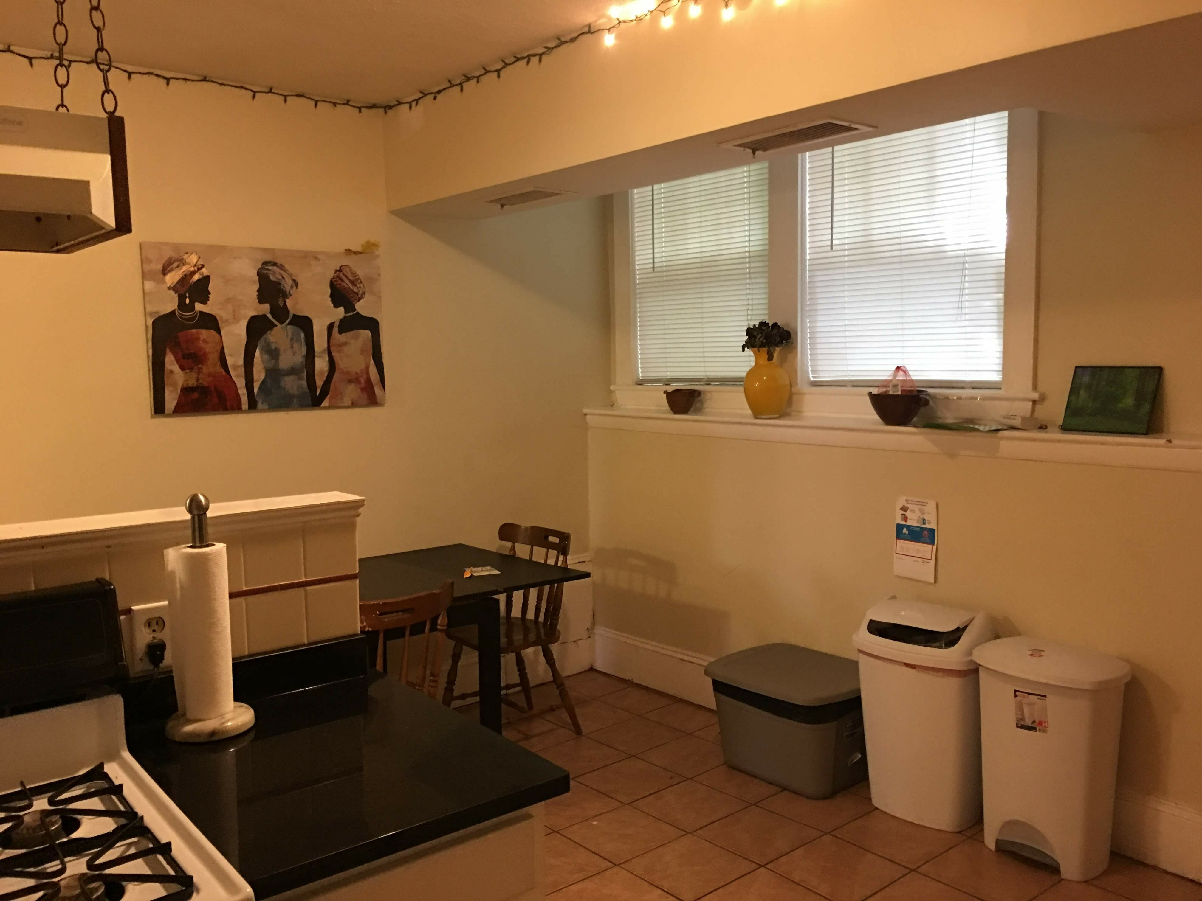 4 bed, 1 bath apartment for rent at 111 Lanark Rd Unit A, Brighton — photo 4 of 8