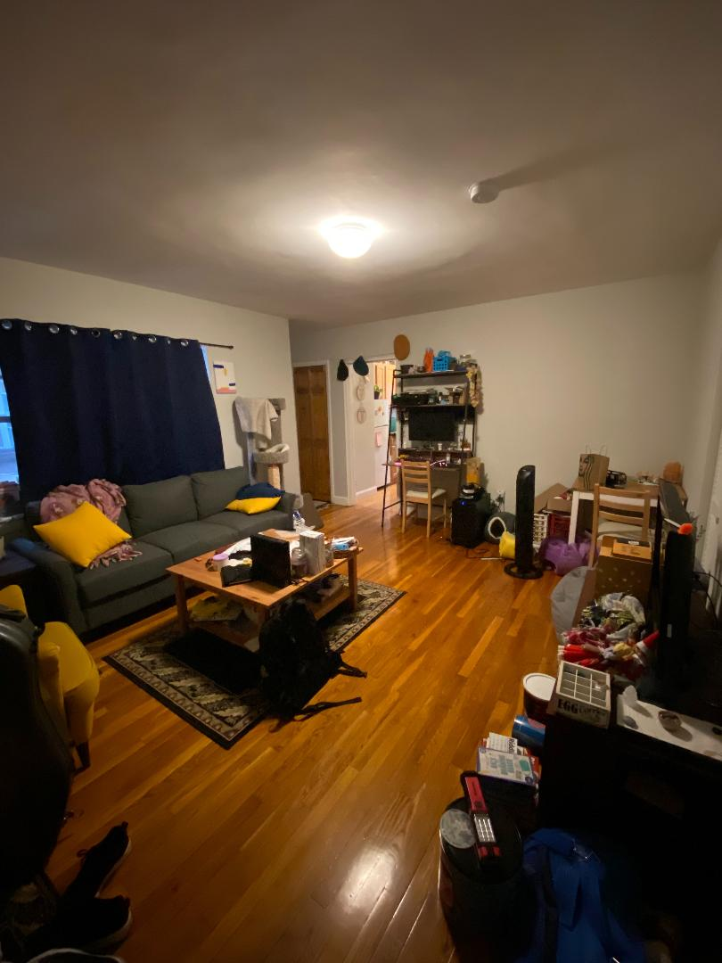 1 bed, 1 bath apartment for rent at 53 Selkirk Rd Unit 4, Brighton — photo 6 of 8