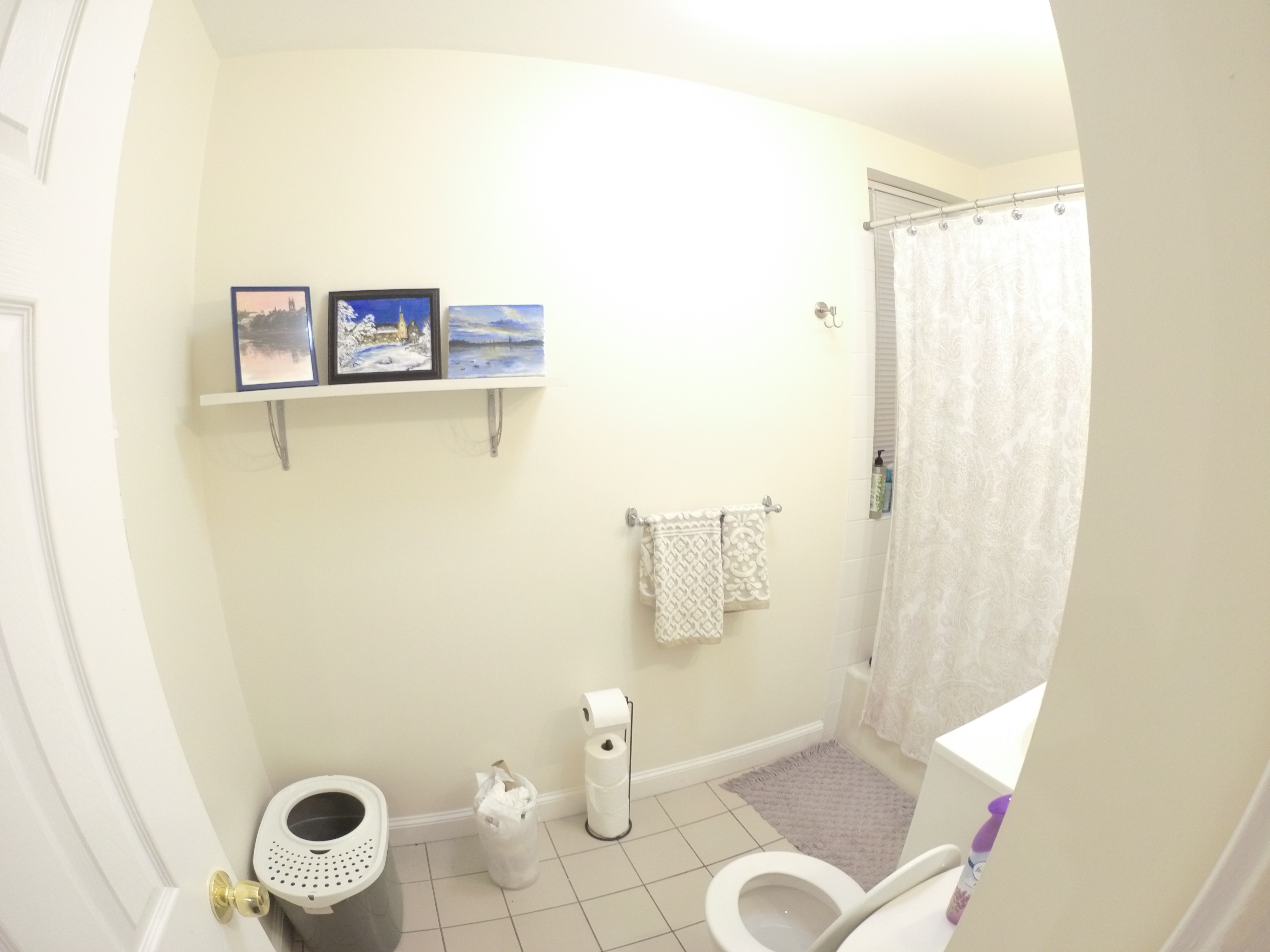 3 bed, 1 bath apartment for rent at 371 Chestnut Hill Unit 21, Brighton — photo 3 of 5