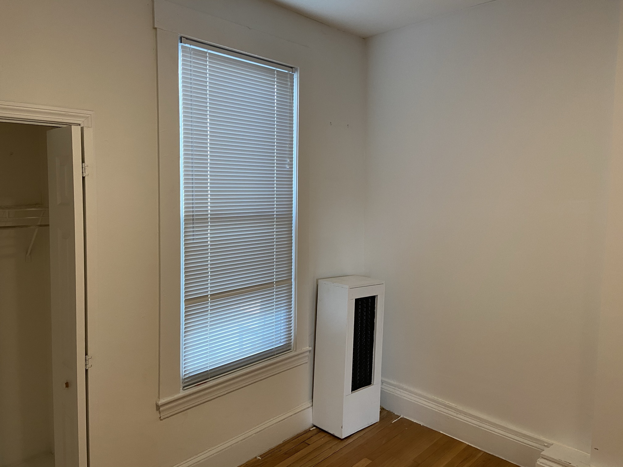 4 bed, 1 bath apartment for rent at 33 Newton St Unit 2, Brighton — photo 3 of 11