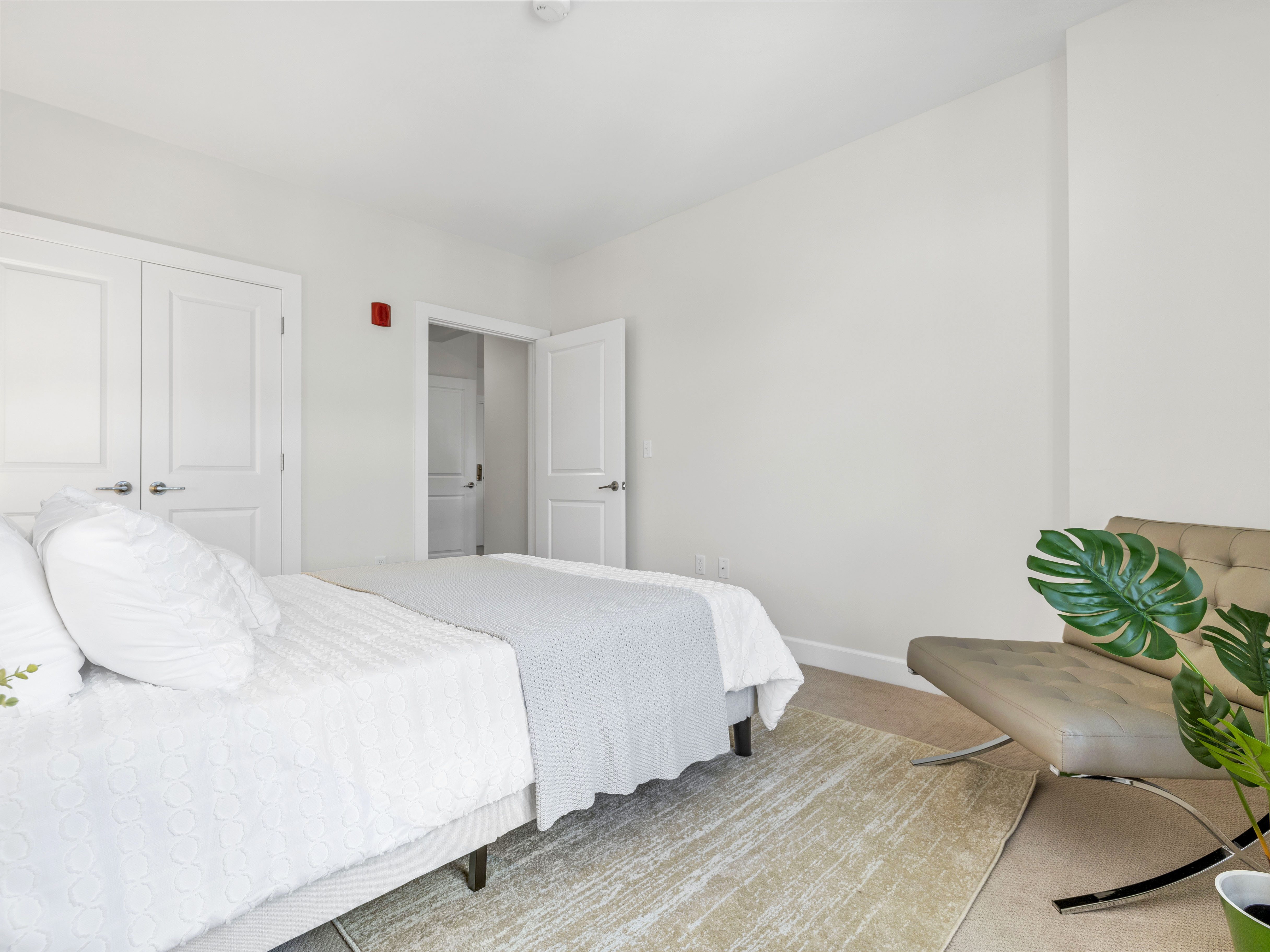 2 bed, 2 bath apartment for rent at 1503 Commonwealth Ave Unit 203, Brighton — photo 4 of 8