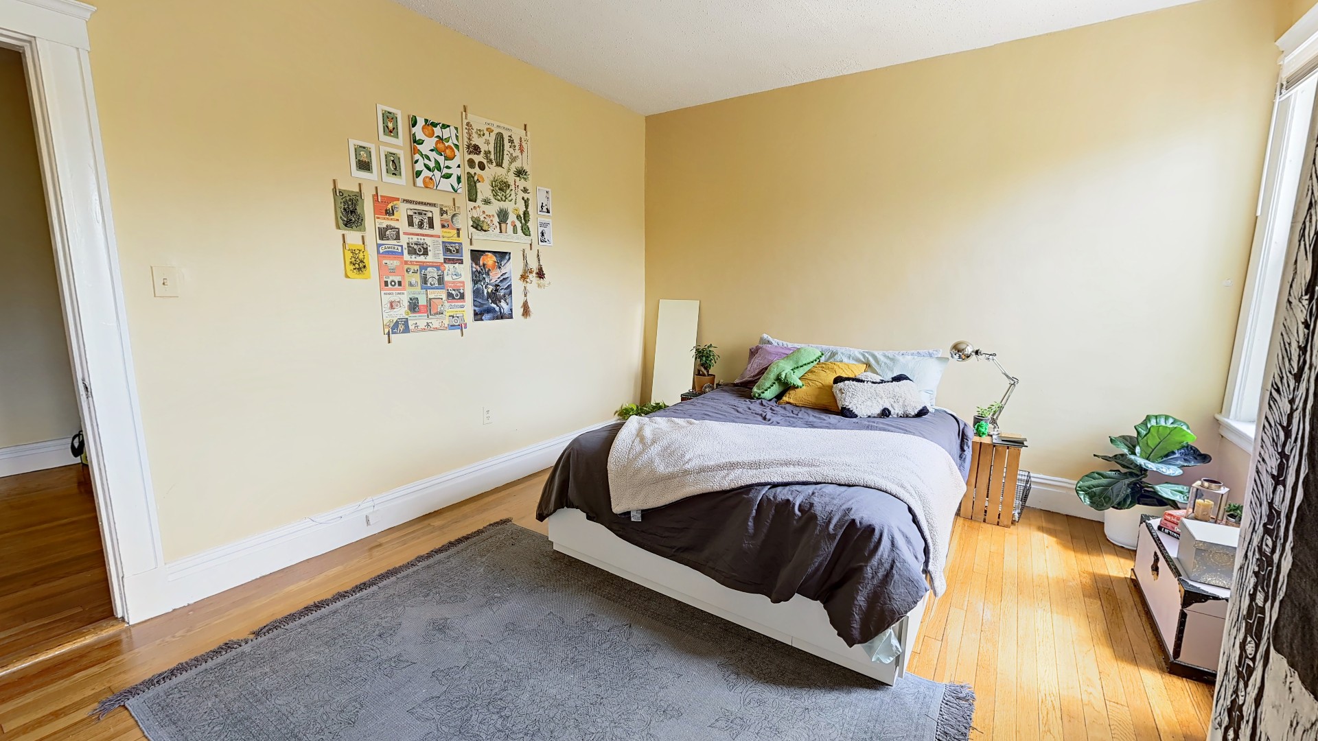 3 bed, 1 bath apartment for rent at 53 Strathmore Unit 3, Brighton — photo 16 of 23