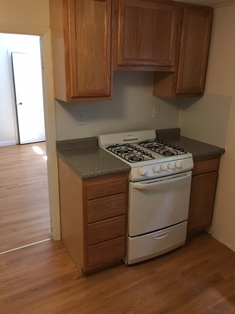 1 split bed, 1 bath apartment for rent at 120 Sutherland Rd Unit A, Brighton — photo 2 of 7