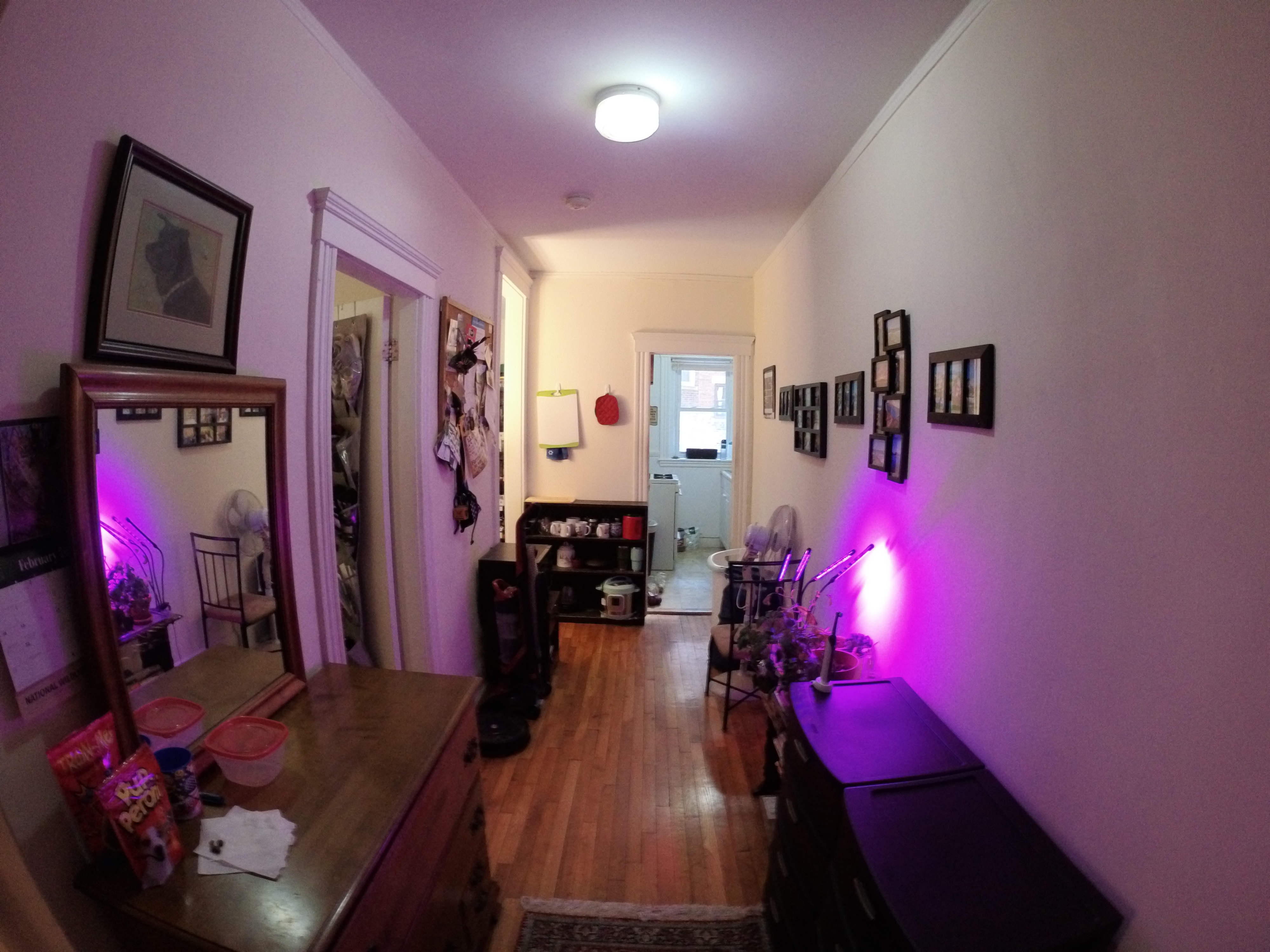 1 split bed, 1 bath apartment for rent at 1455 Commonwealth Ave Unit 9, Brighton — photo 7 of 9