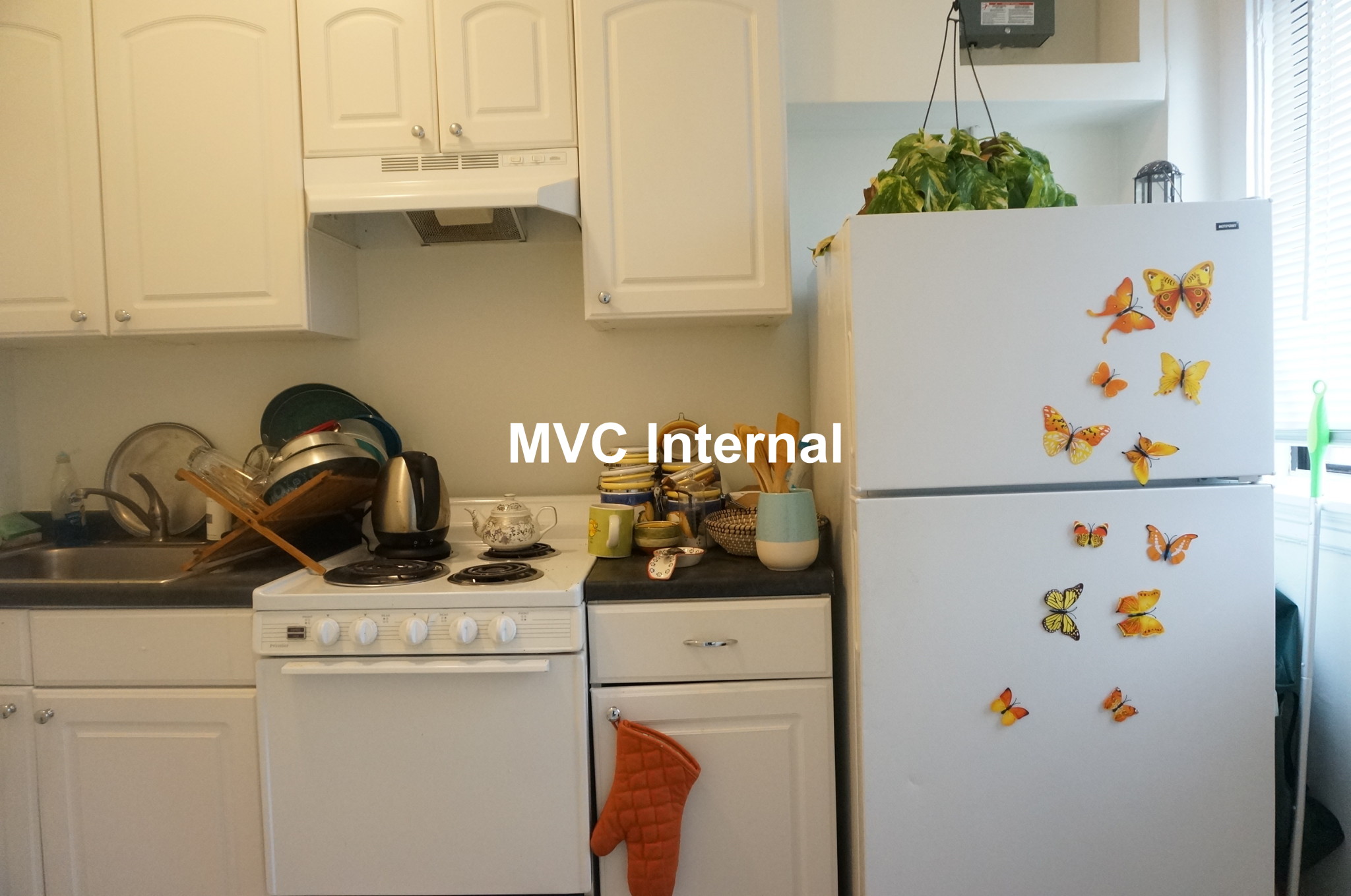 1 bed, 1 bath apartment for rent at 230 Walnut St Unit 33B, Newtonville — photo 13 of 15