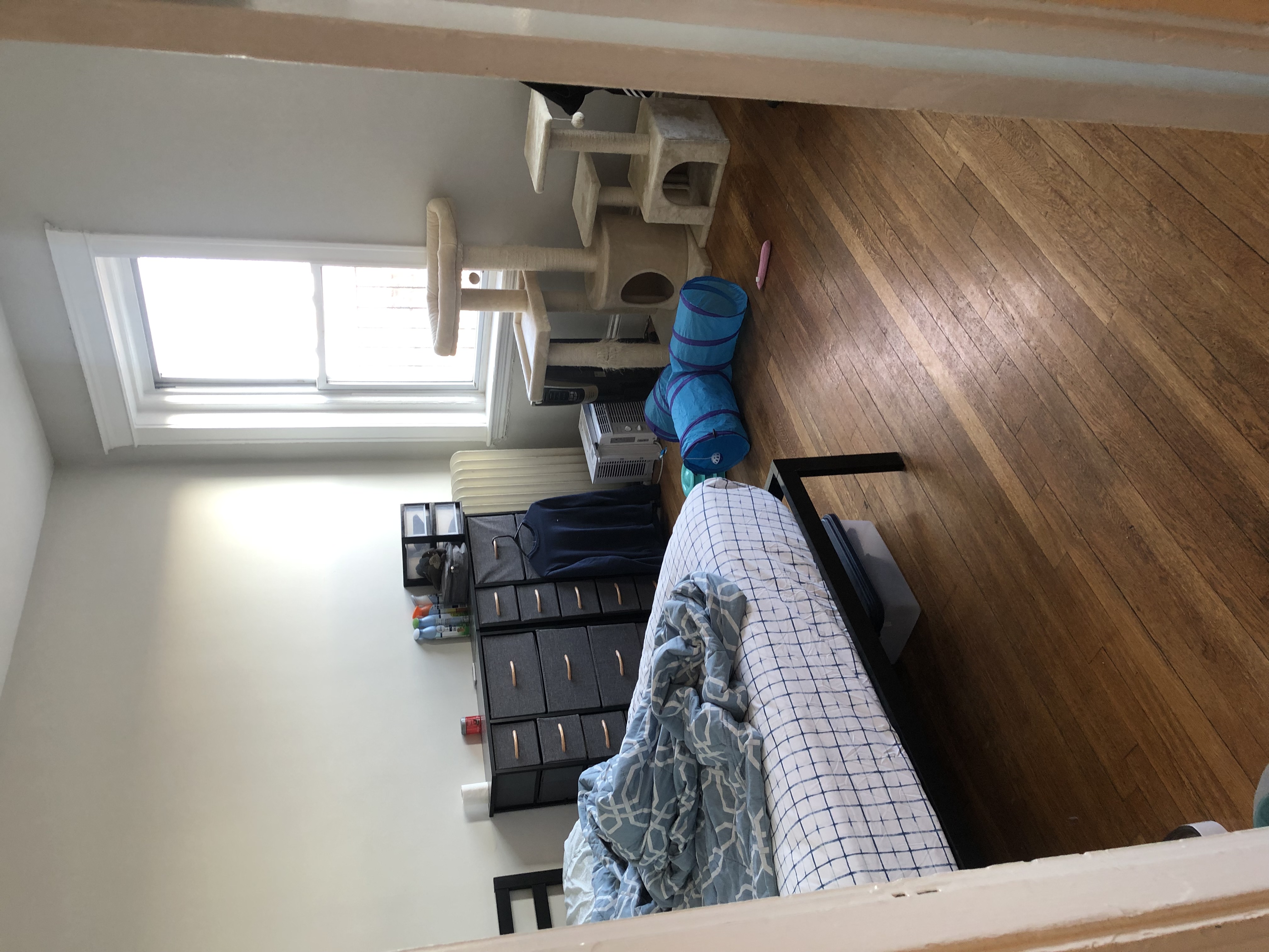Studio bed, 1 bath apartment for rent at 1188 Commonwealth Ave Unit 22, Allston — photo 3 of 11