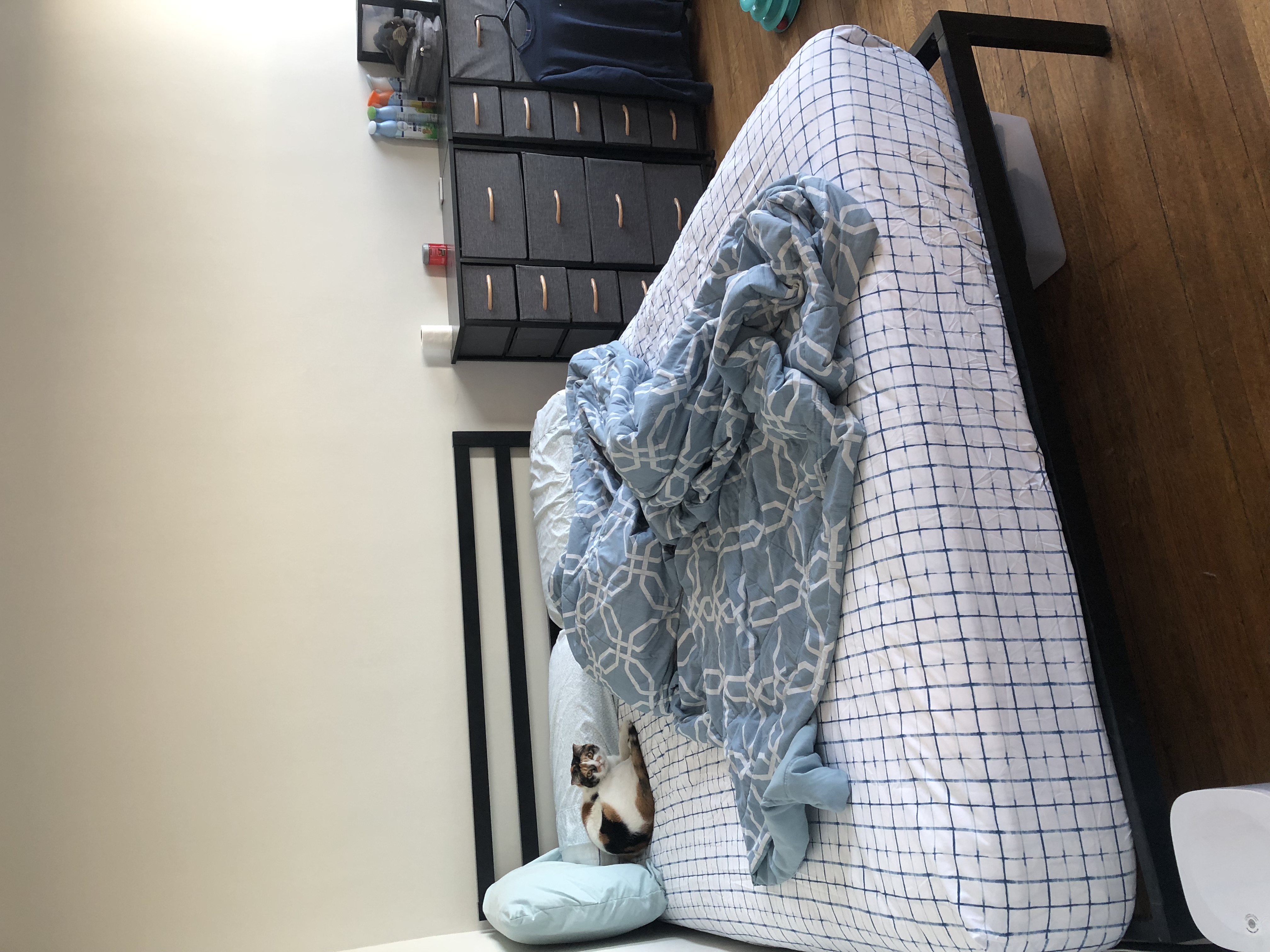 Studio bed, 1 bath apartment for rent at 1188 Commonwealth Ave Unit 22, Allston — photo 4 of 11