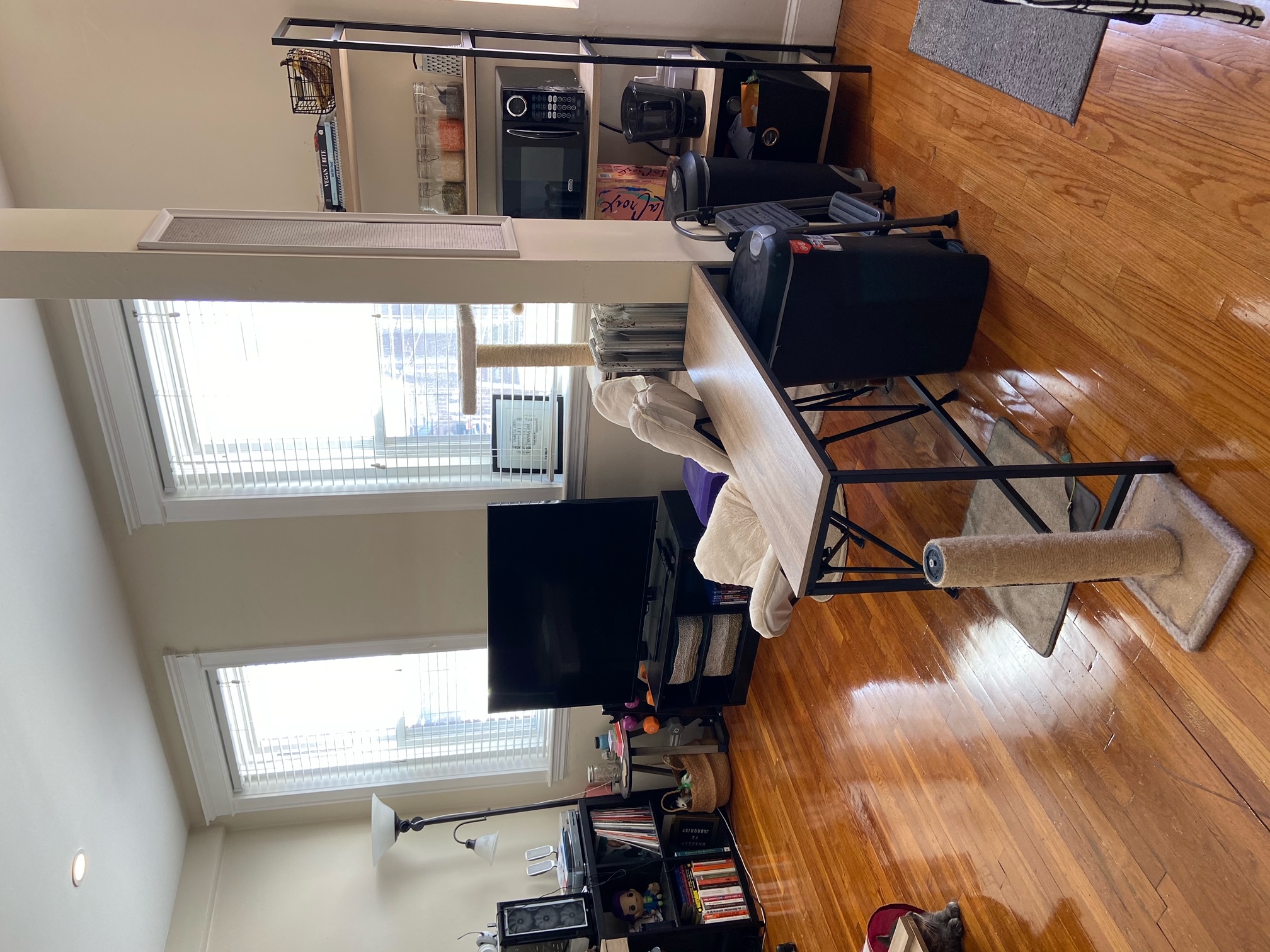 Studio bed, 1 bath apartment for rent at 1194 Commonwealth Ave Unit 10, Allston — photo 5 of 8