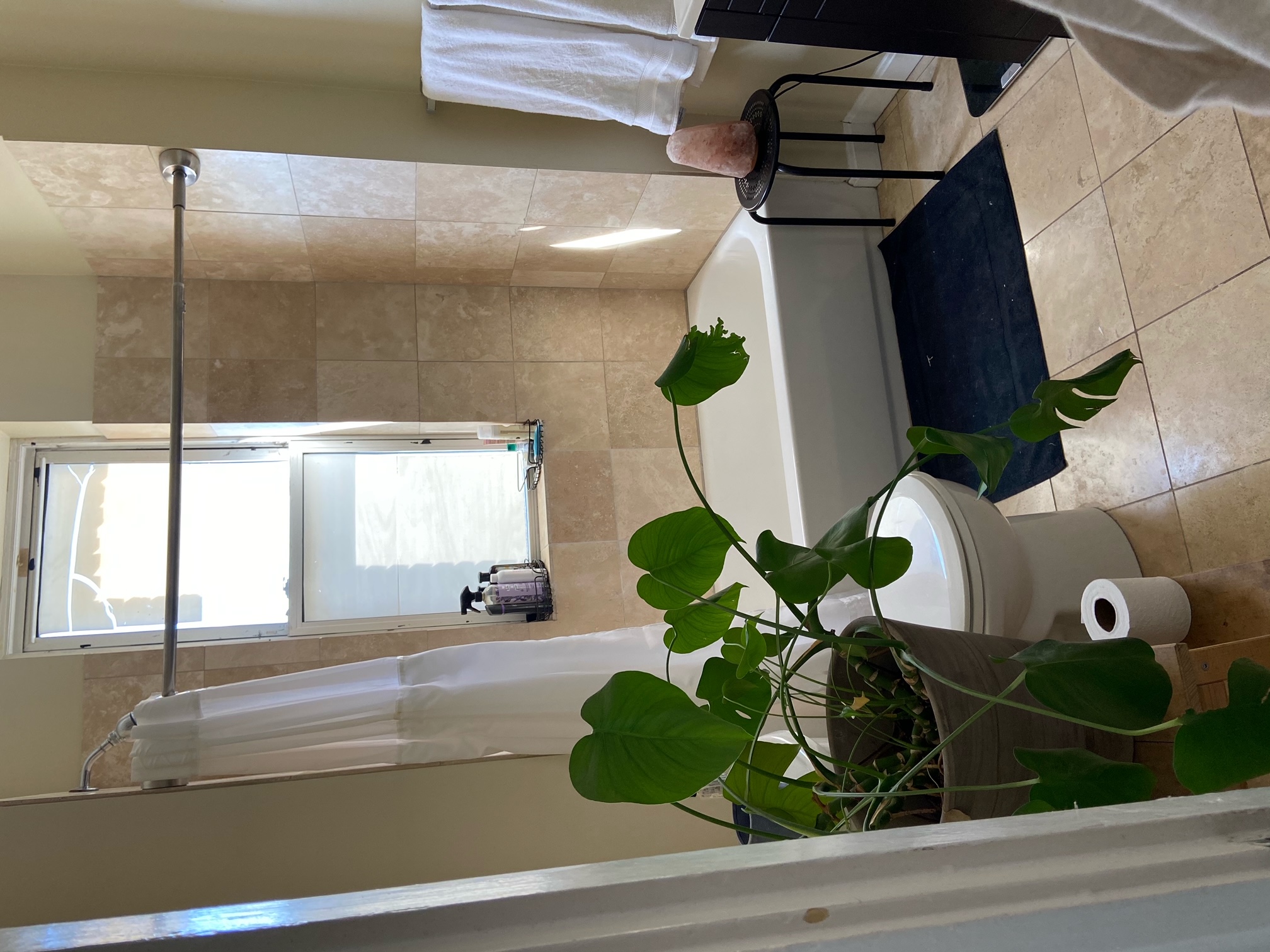 Studio bed, 1 bath apartment for rent at 1194 Commonwealth Ave Unit 10, Allston — photo 6 of 8