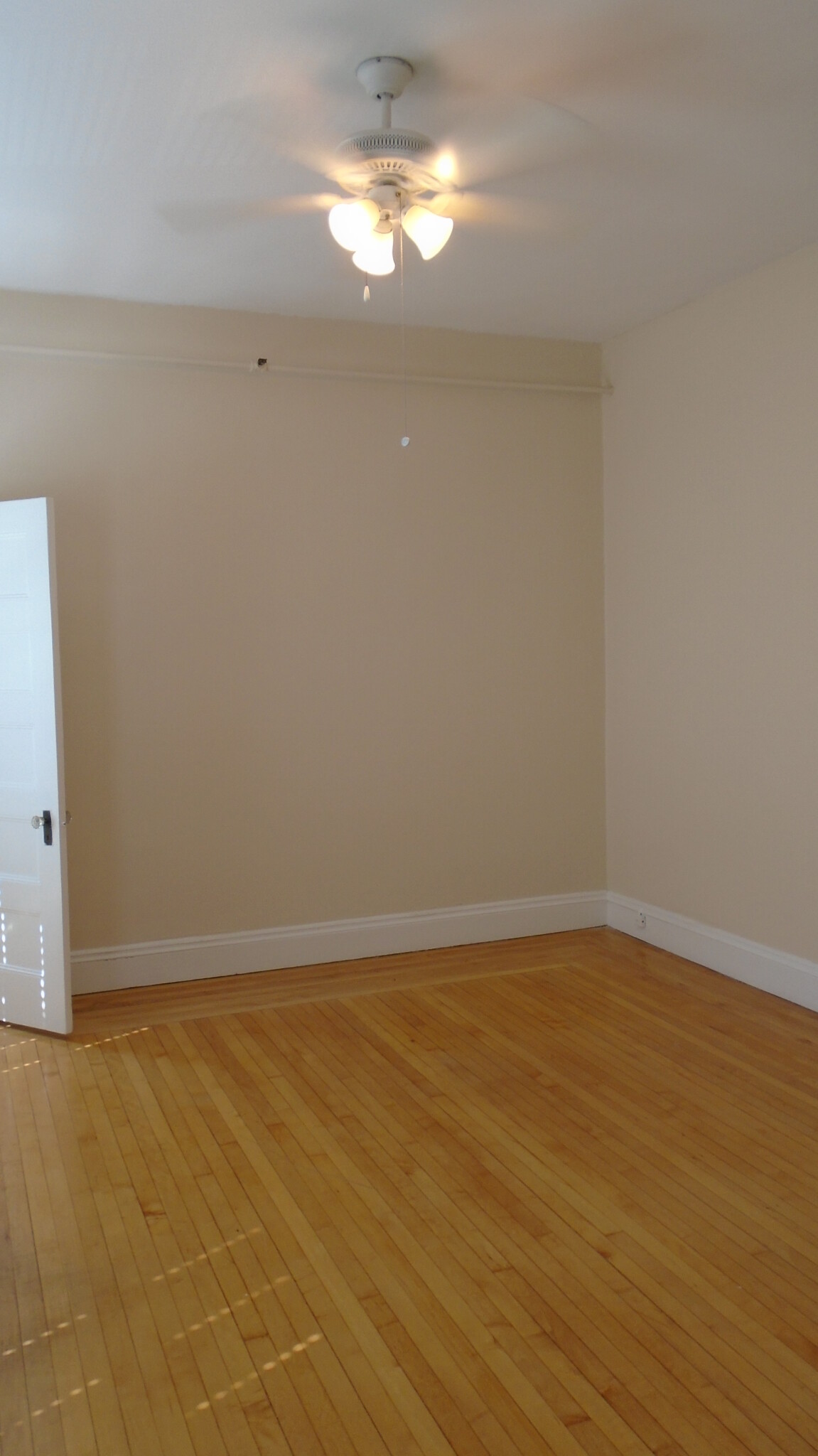 Studio bed, 1 bath apartment for rent at 1470 Beacon St Unit 49, Coolidge Corner — photo 6 of 16