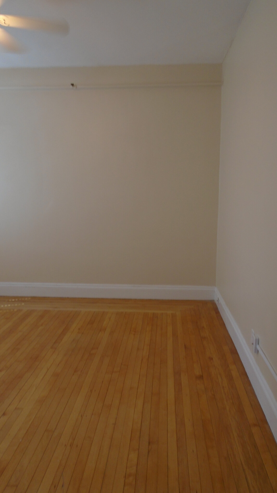 Studio bed, 1 bath apartment for rent at 1470 Beacon St Unit 49, Coolidge Corner — photo 8 of 16