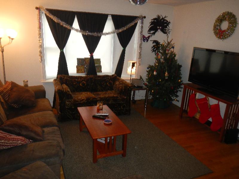 3 bed, 1.5 bath apartment for rent at 62 Hillside St Unit 3, Mission Hill — photo 7 of 11