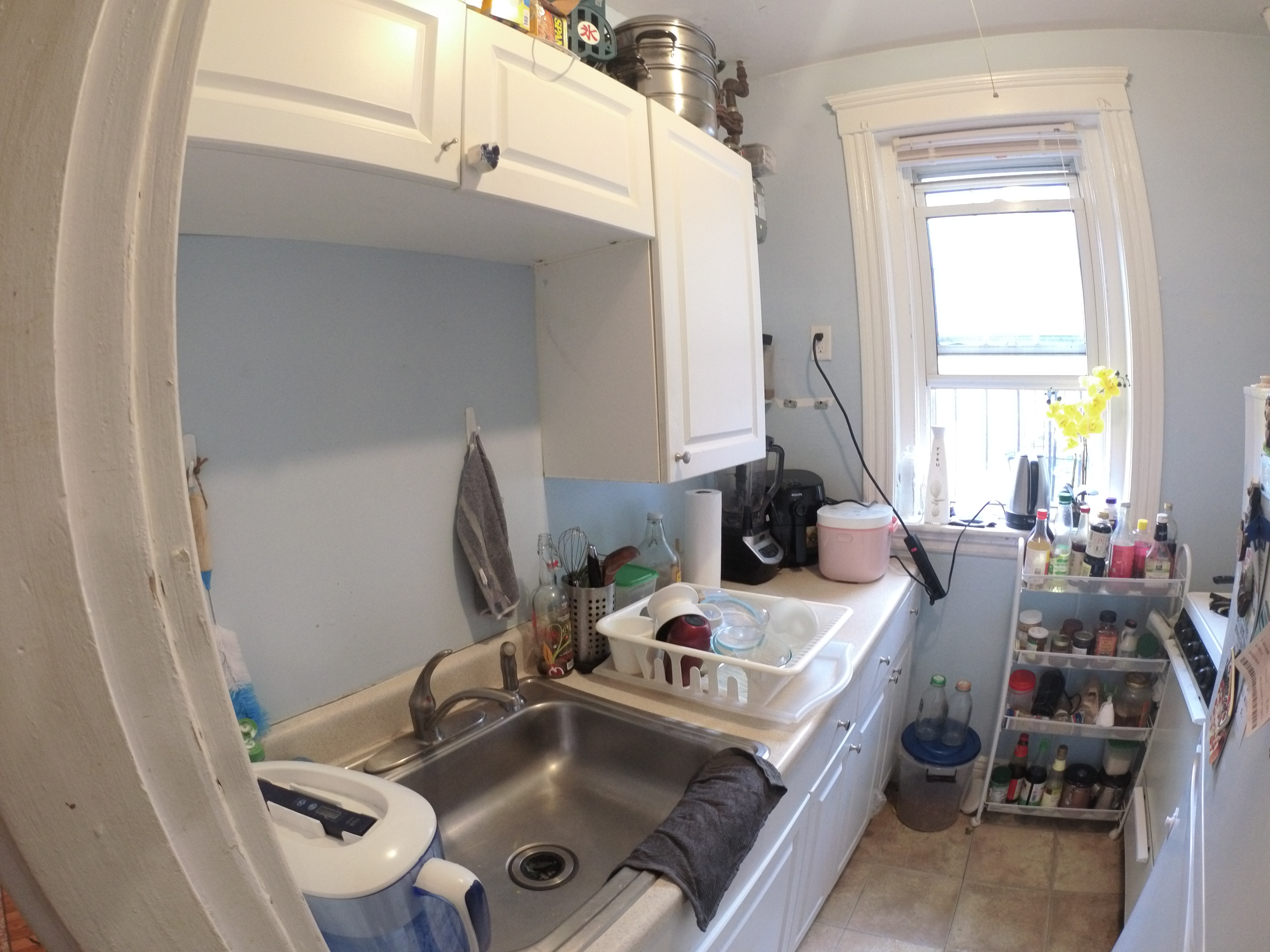 1 bed, 1 bath apartment for rent at 1451 Commonwealth Ave Unit 27, Brighton — photo 7 of 8