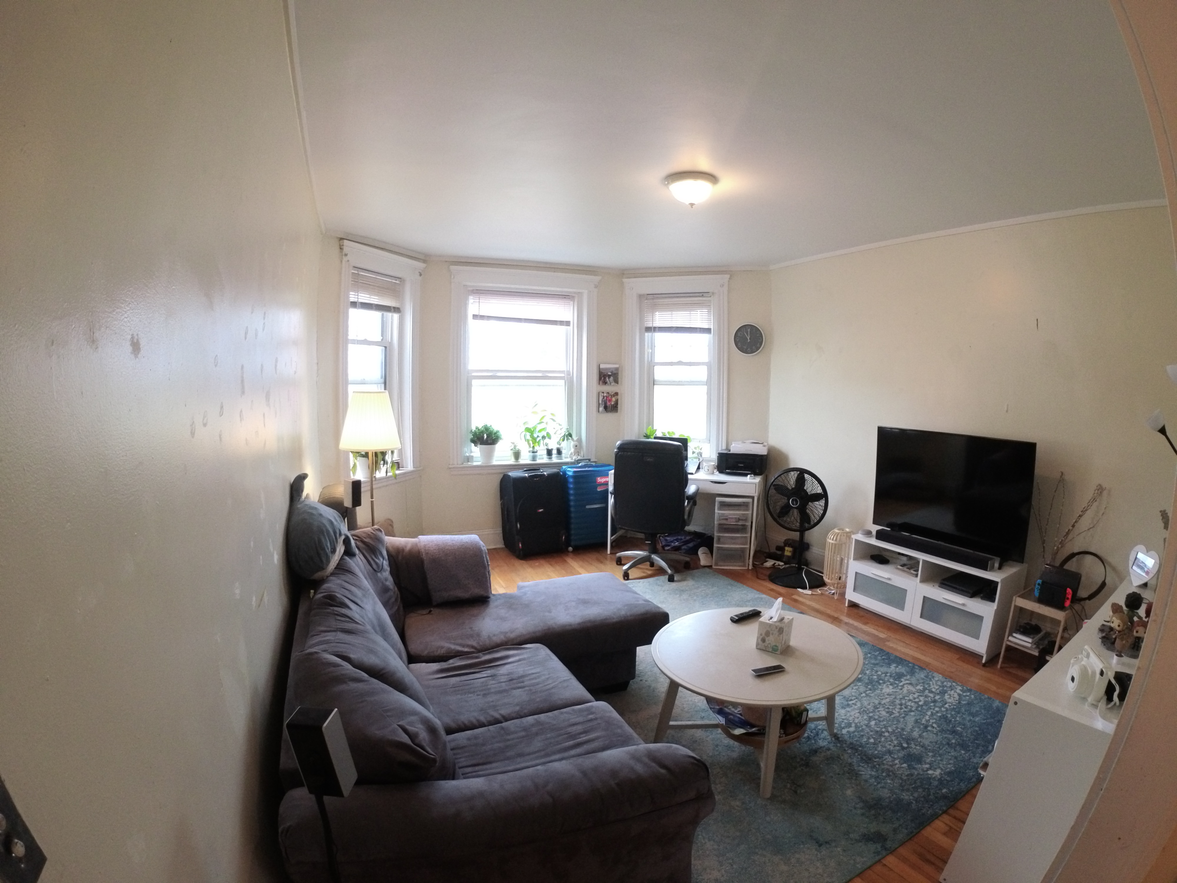 1 bed, 1 bath apartment for rent at 1455 Commonwealth Ave Unit 27, Brighton — photo 8 of 8