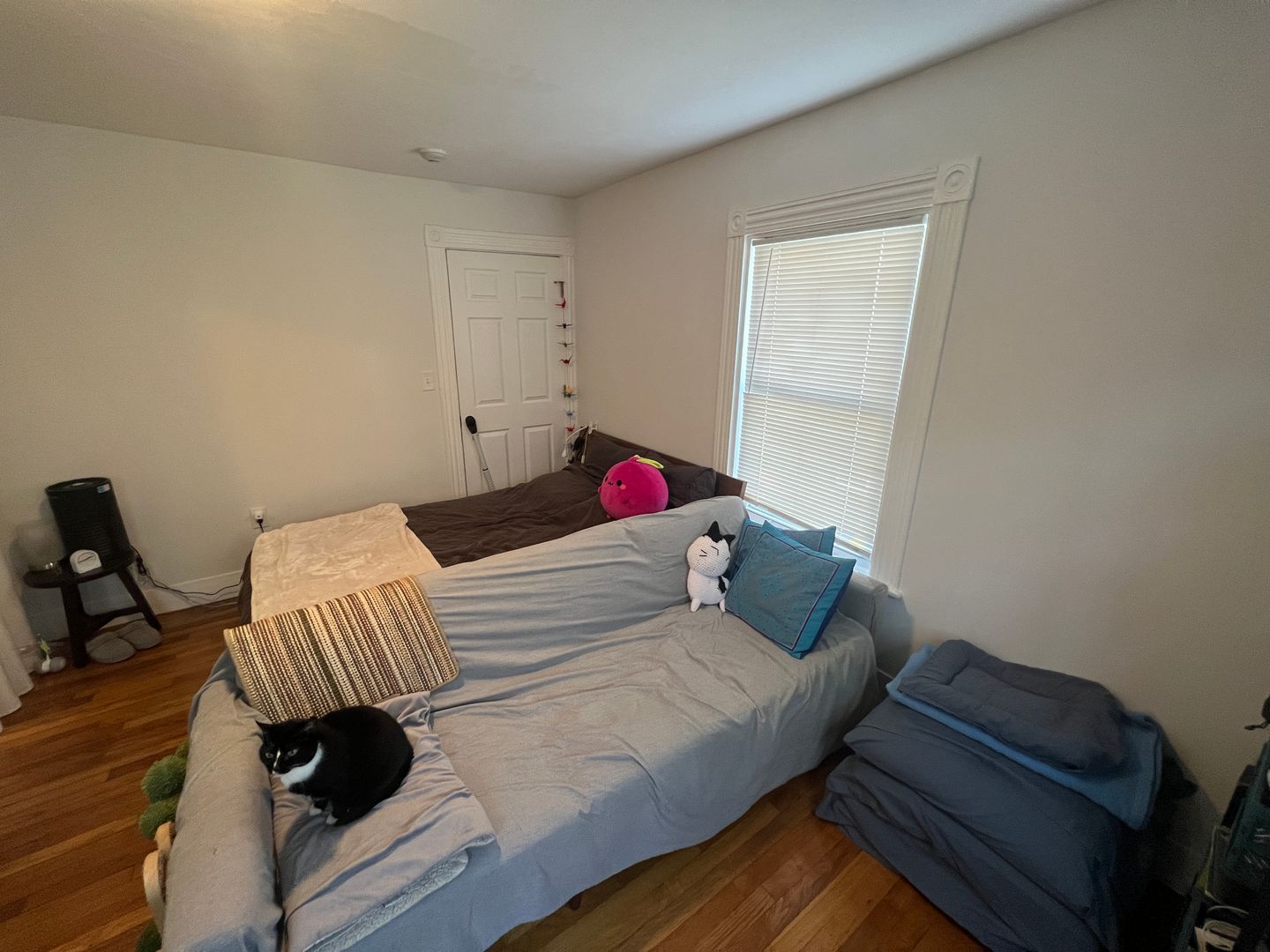 1 bed, 1 bath apartment for rent at 5 Blake St Unit 5, North Cambridge — photo 6 of 15