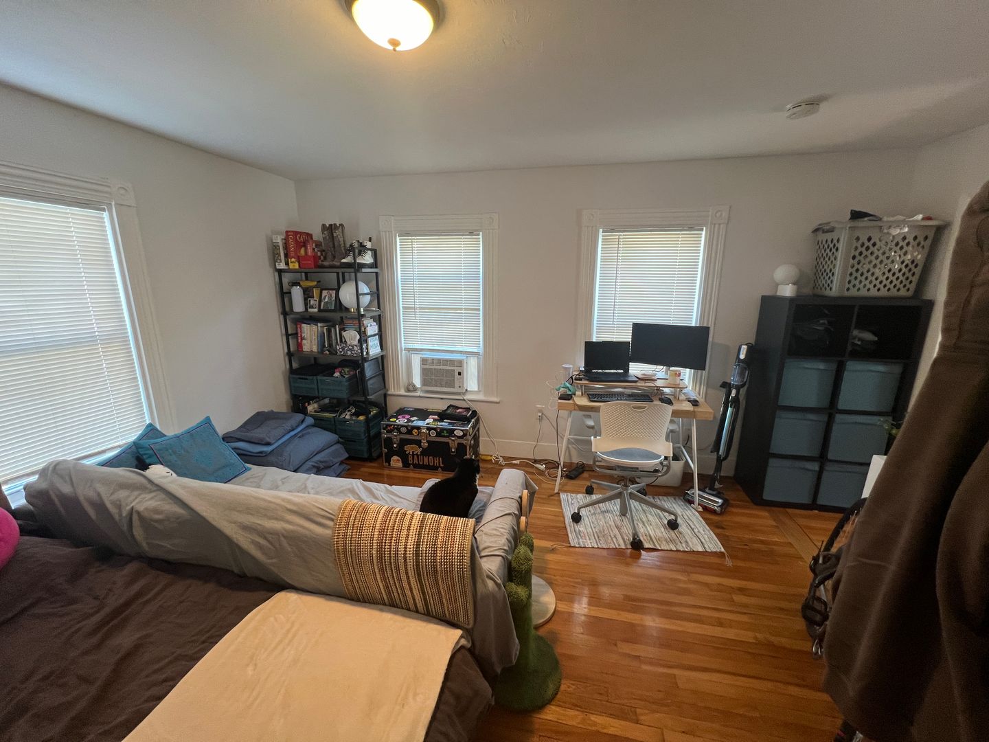 1 bed, 1 bath apartment for rent at 5 Blake St Unit 5, North Cambridge — photo 15 of 15