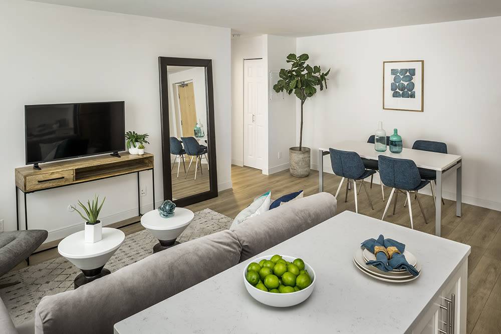 10 Camelot Ct, Brighton