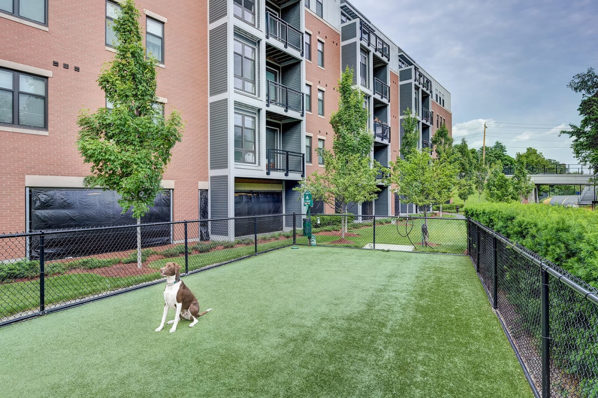 1 bed, 1 bath apartment for rent at 1 Maxwells Green Unit 5-302, Magoun Square — photo 6 of 8