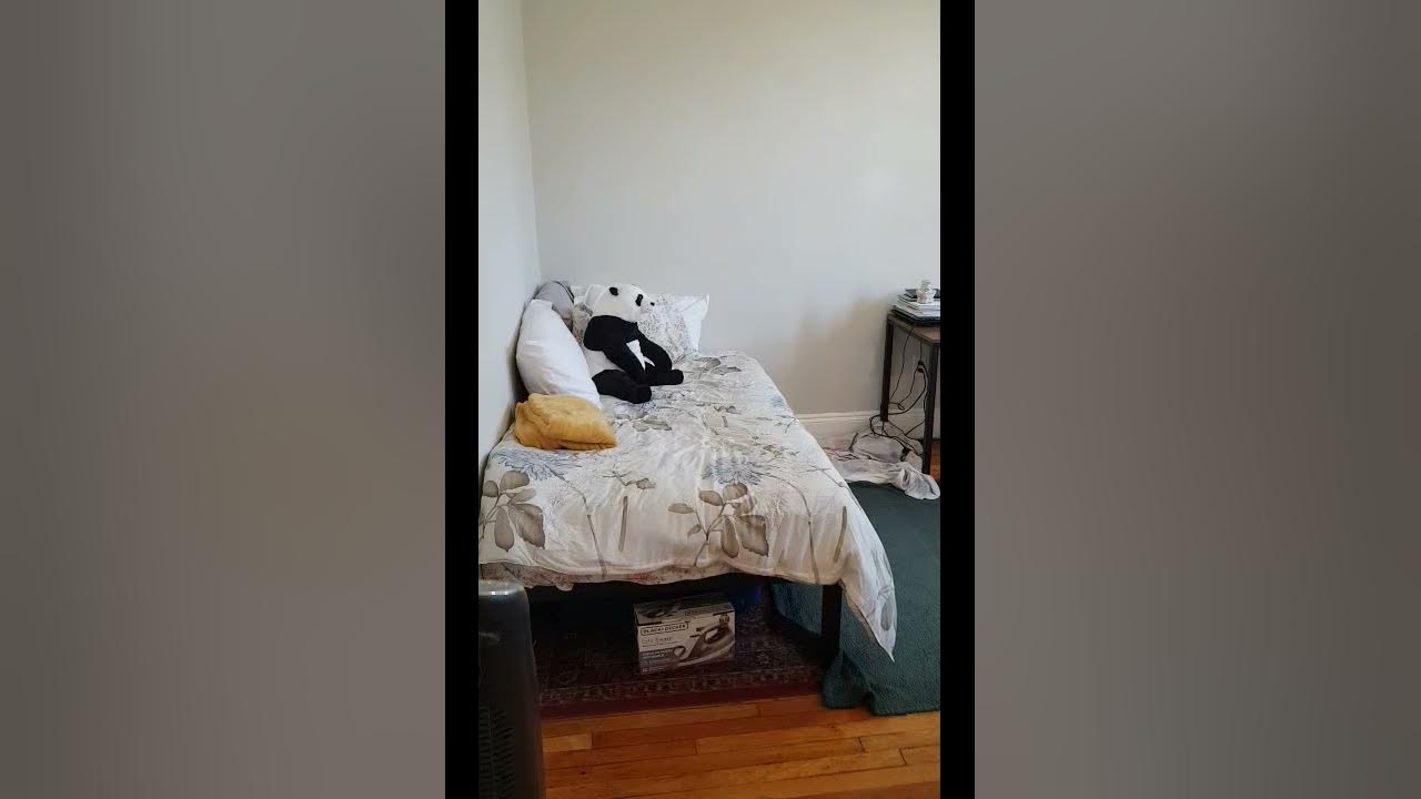 Studio bed, 1 bath apartment for rent at 1197 Commonwealth Ave Unit 6, Allston — photo 41 of 42