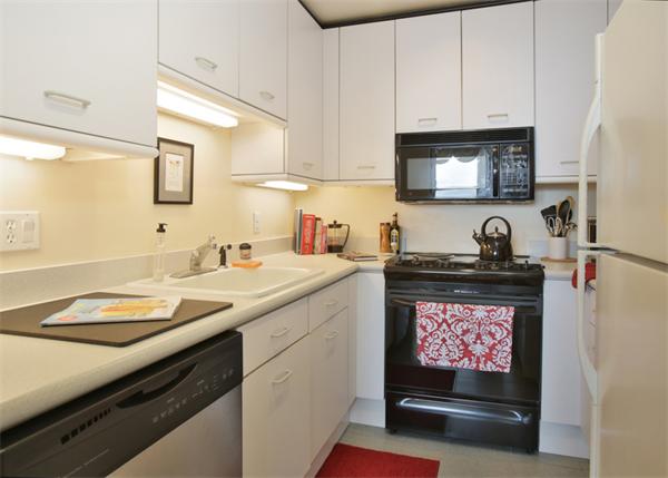 1 bed, 1 bath apartment for rent at 416 Marlborough St Unit 703, Back Bay — photo 3 of 6