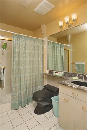 1 bed, 1 bath apartment for rent at 416 Marlborough St Unit 703, Back Bay — photo 4 of 6