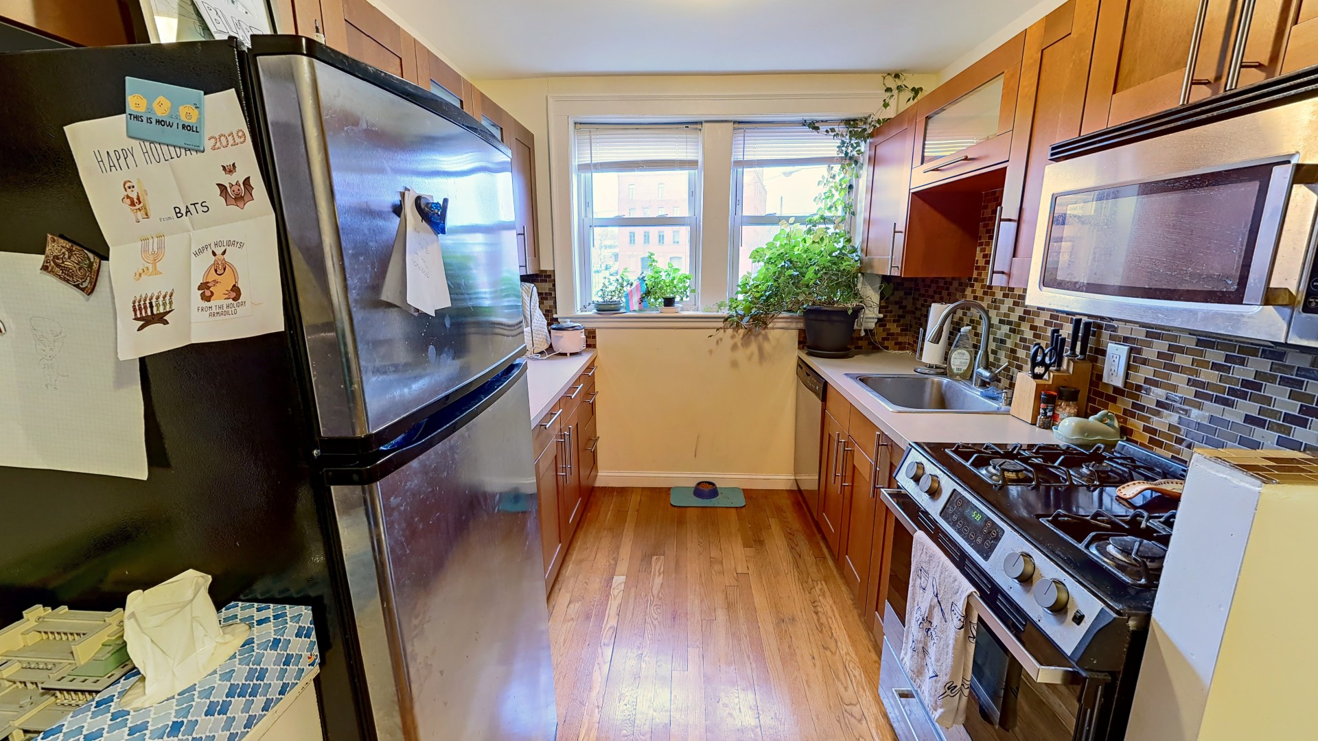 38 Day St, Davis Square