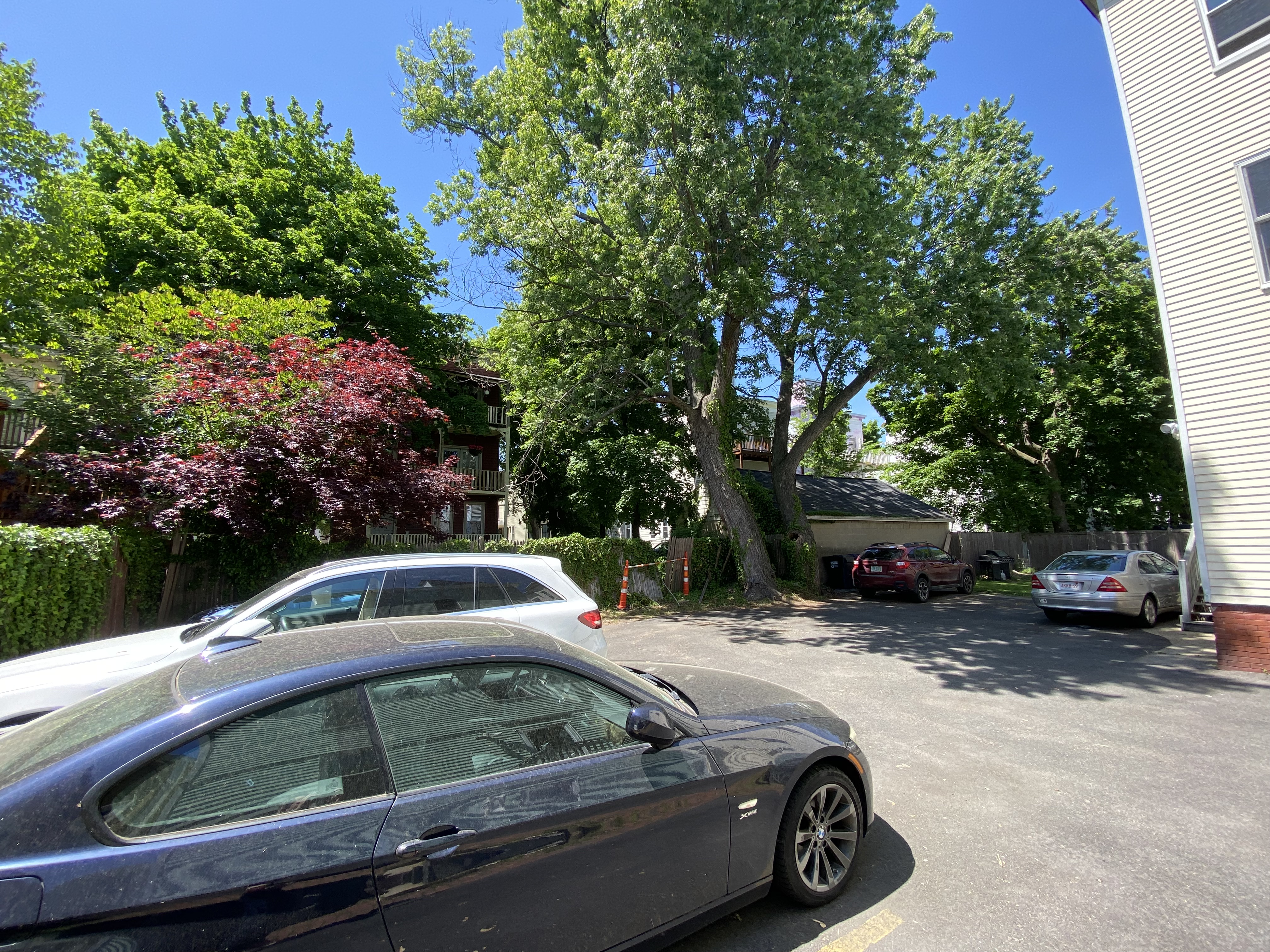2 bed, 1 bath apartment for rent at 121 Cherry St Unit 1, Central Square — photo 18 of 20