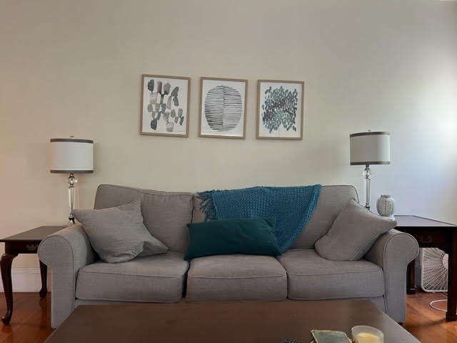 3 bed, 2 bath apartment for rent at 237 Saint Paul St Unit 2, Coolidge Corner — photo 7 of 16