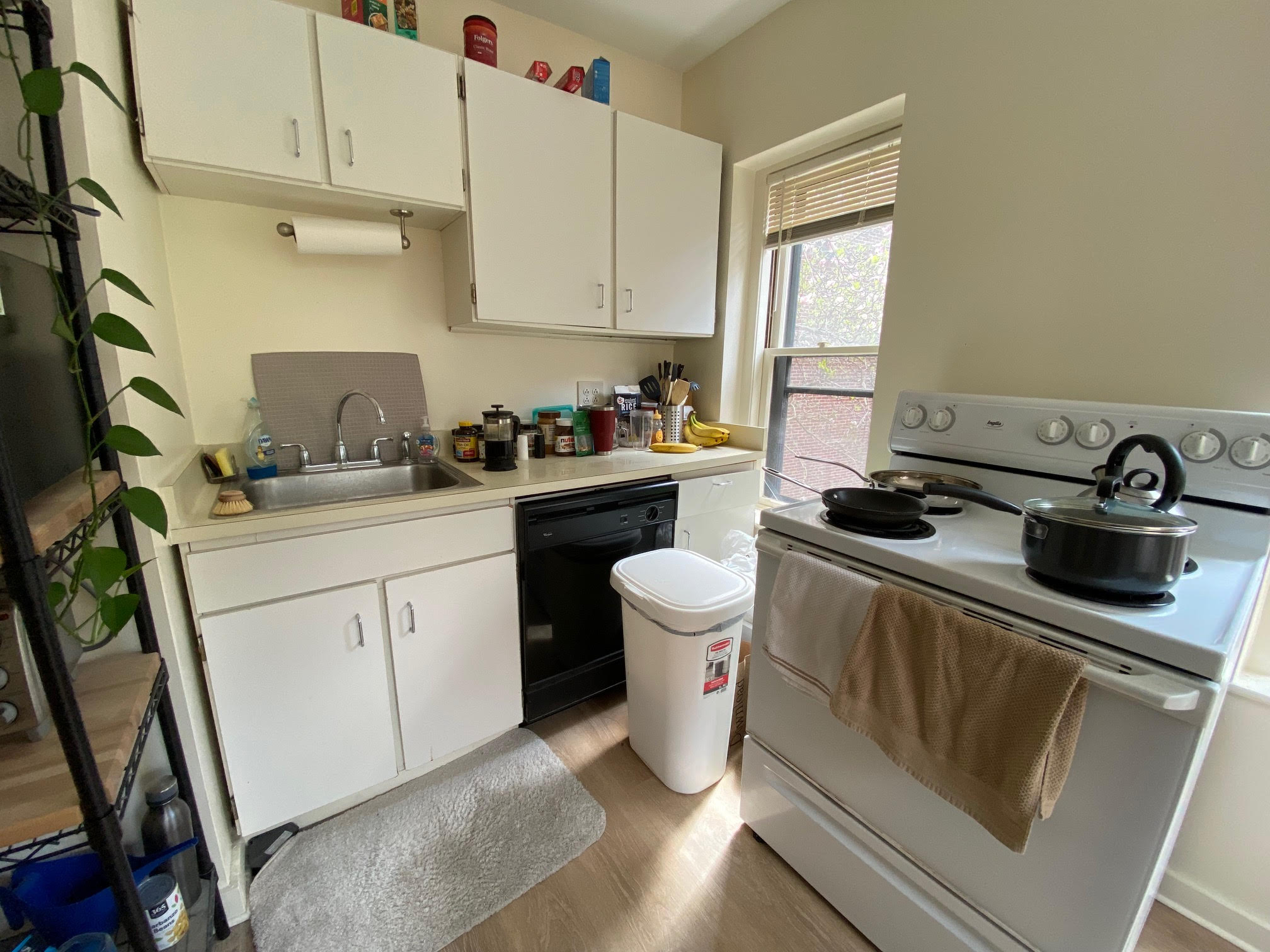 Studio bed, 1 bath apartment for rent at 68 Myrtle St Unit 7, Beacon Hill — photo 3 of 8