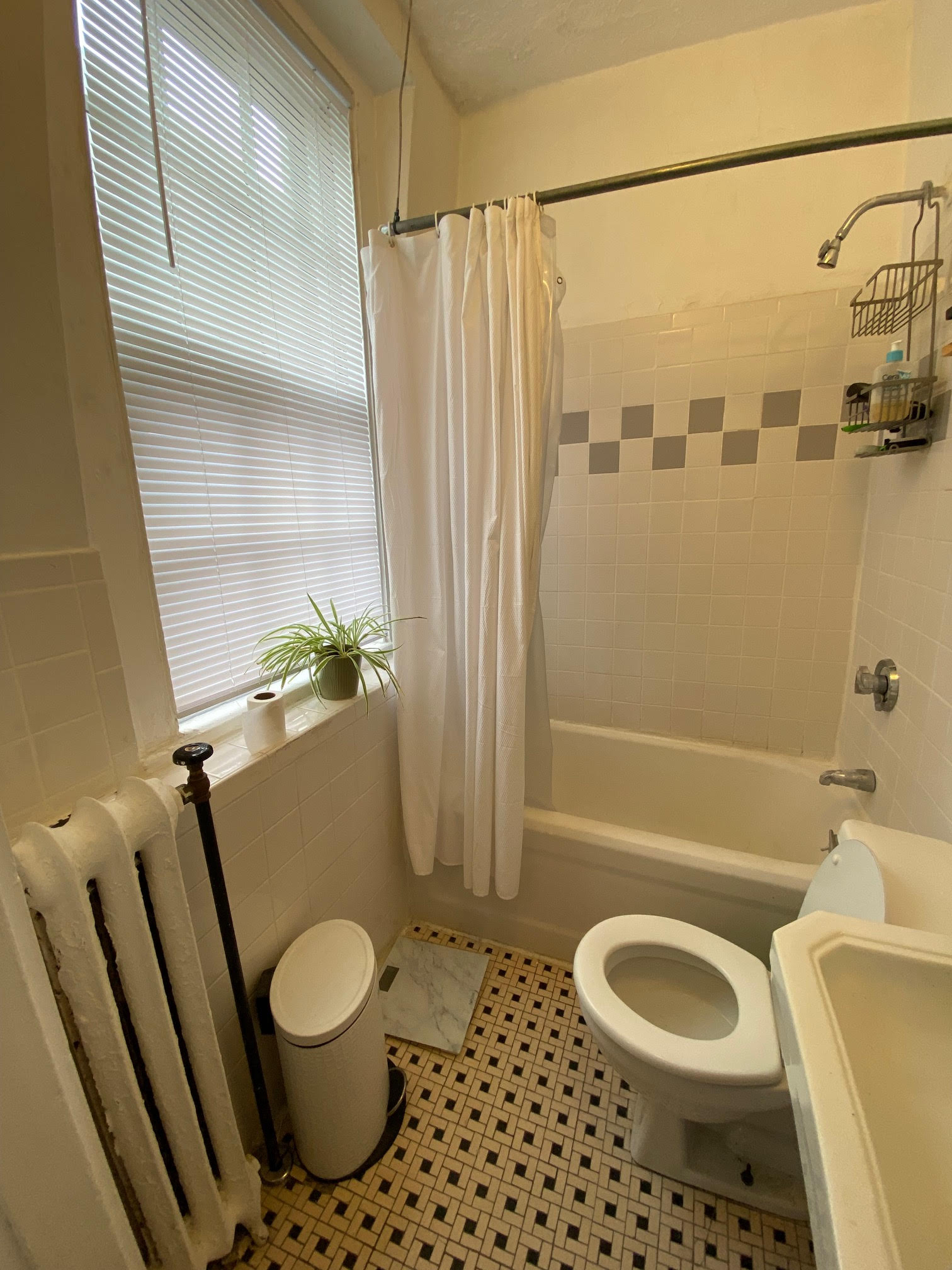 Studio bed, 1 bath apartment for rent at 52 Russell St Unit 7, Beacon Hill — photo 7 of 12
