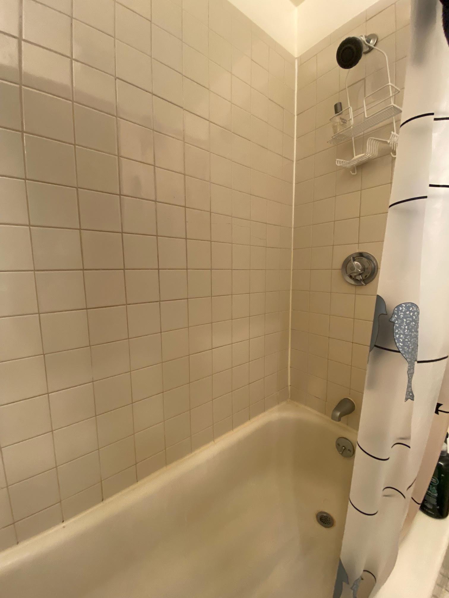 Studio bed, 1 bath apartment for rent at 68 Myrtle St Unit 7, Beacon Hill — photo 8 of 8